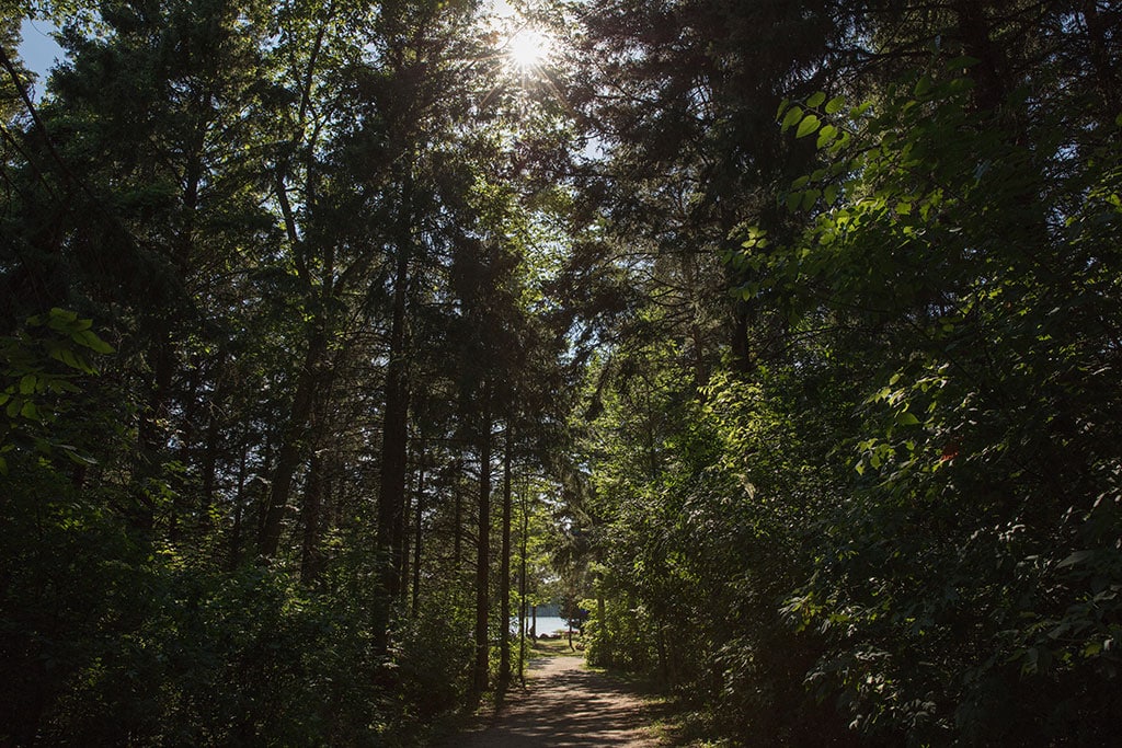 Surrounded by Nature